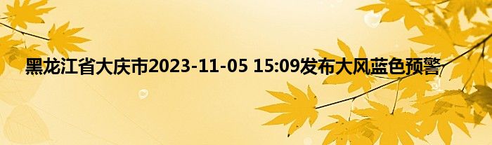 黑龙江省大庆市2023