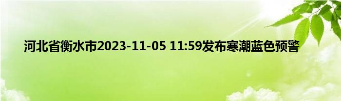 河北省衡水市2023