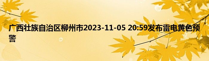 广西壮族自治区柳州市2023