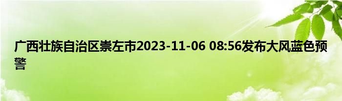 广西壮族自治区崇左市2023