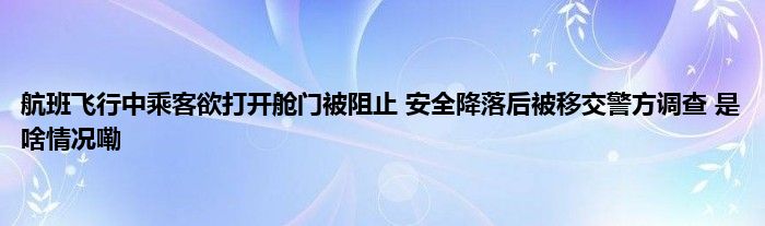 航班飞行中乘客欲打开舱门被阻止 安全降落后被移交警方调查 是啥情况嘞