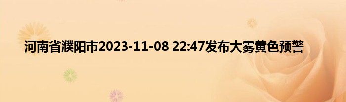 河南省濮阳市2023