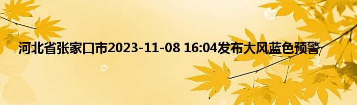 河北省张家口市2023