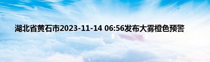 湖北省黄石市2023