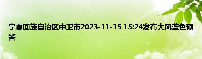 宁夏回族自治区中卫市2023