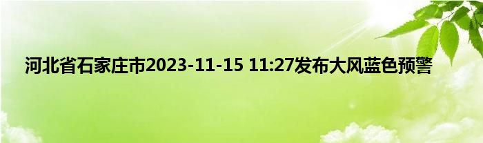 河北省石家庄市2023