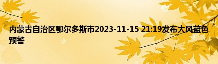 内蒙古自治区鄂尔多斯市2023