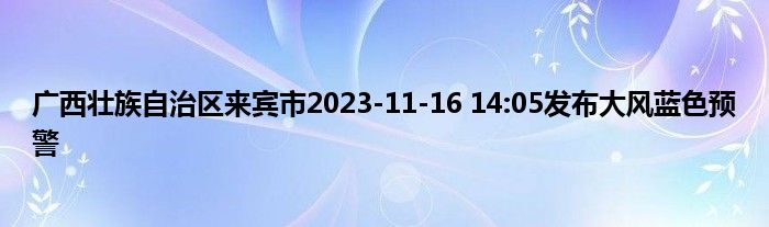 广西壮族自治区来宾市2023