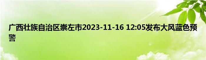 广西壮族自治区崇左市2023