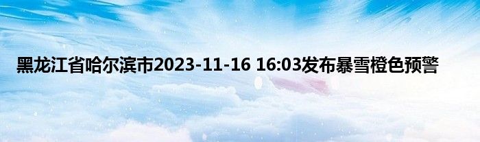 黑龙江省哈尔滨市2023