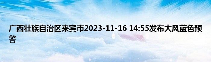 广西壮族自治区来宾市2023