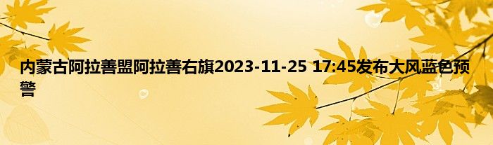 内蒙古阿拉善盟阿拉善右旗2023