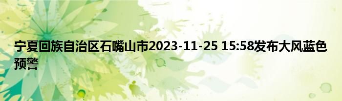 宁夏回族自治区石嘴山市2023