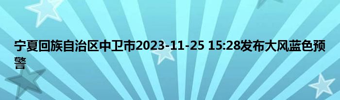 宁夏回族自治区中卫市2023