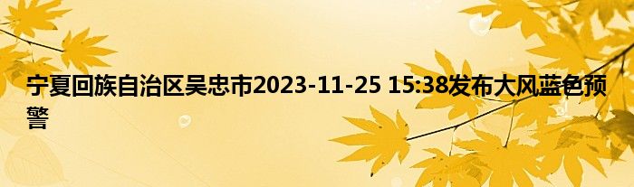 宁夏回族自治区吴忠市2023