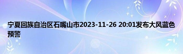 宁夏回族自治区石嘴山市2023