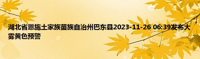 湖北省恩施土家族苗族自治州巴东县2023