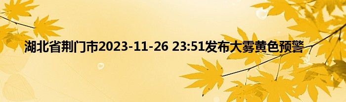 湖北省荆门市2023