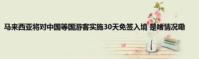 马来西亚将对中国等国游客实施30天免签入境 是啥情况嘞