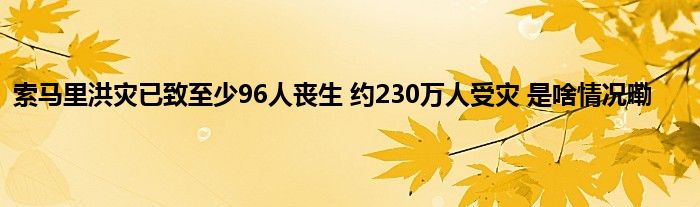 索马里洪灾已致至少96人丧生 约230万人受灾 是啥情况嘞