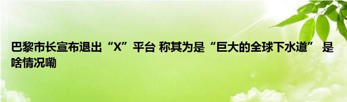 巴黎市长宣布退出“X”平台 称其为是“巨大的全球下水道” 是啥情况嘞