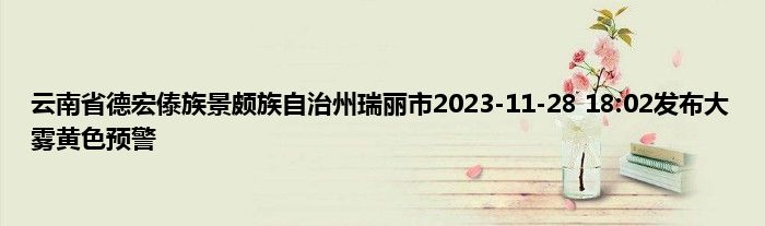 云南省德宏傣族景颇族自治州瑞丽市2023