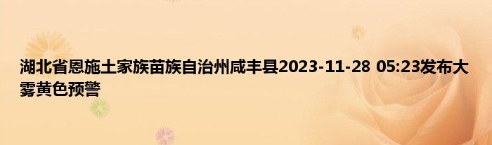 湖北省恩施土家族苗族自治州咸丰县2023