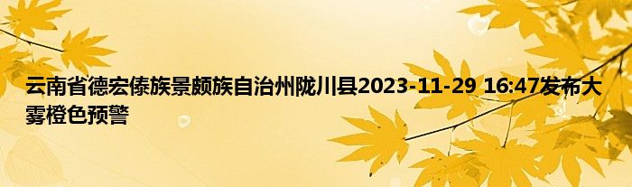 云南省德宏傣族景颇族自治州陇川县2023