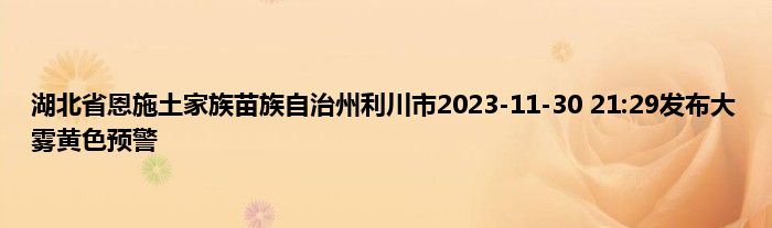 湖北省恩施土家族苗族自治州利川市2023