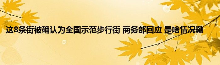 这8条街被确认为全国示范步行街 商务部回应 是啥情况嘞