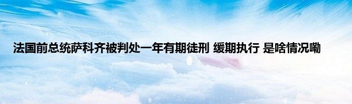 法国前总统萨科齐被判处一年有期徒刑 缓期执行 是啥情况嘞