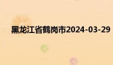 黑龙江省鹤岗市2024-03-29 14:32发布大风蓝色预警